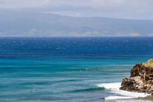 Casombie Casino Podrška